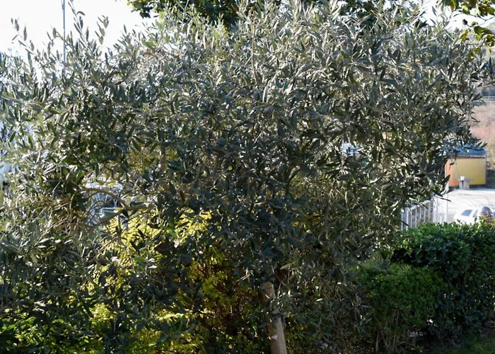 ホテル Restorant Halal Il Tramonto. 4*