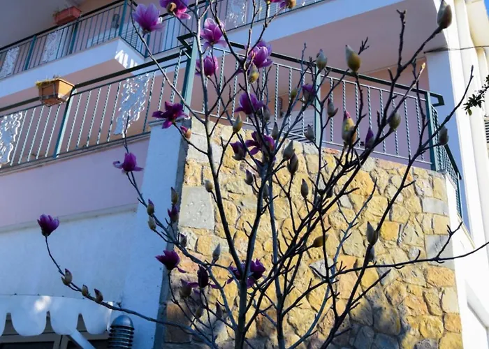 Restorant Halal Il Tramonto. 4* Vorë