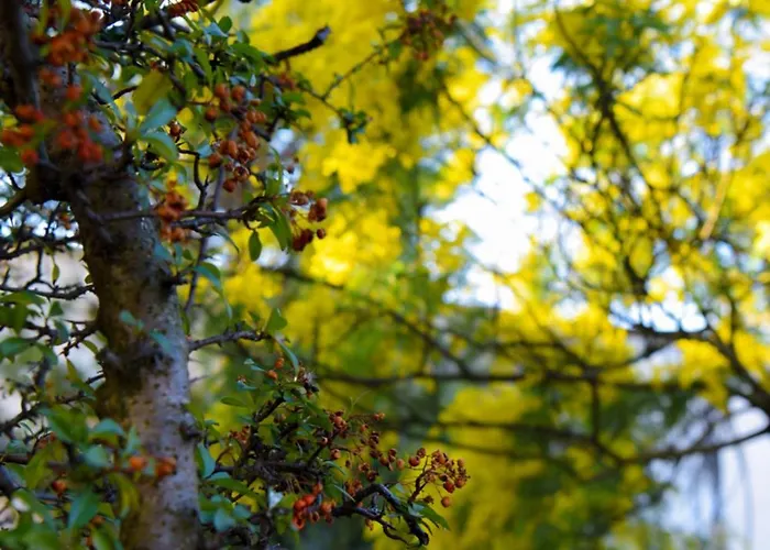 מלון Restorant Halal Il Tramonto. Vorë