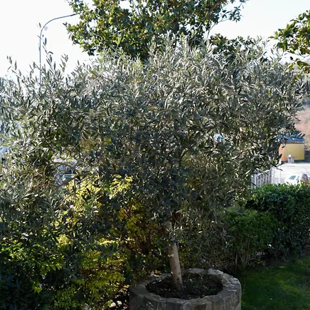 酒店 Restorant Halal Il Tramonto. 4*