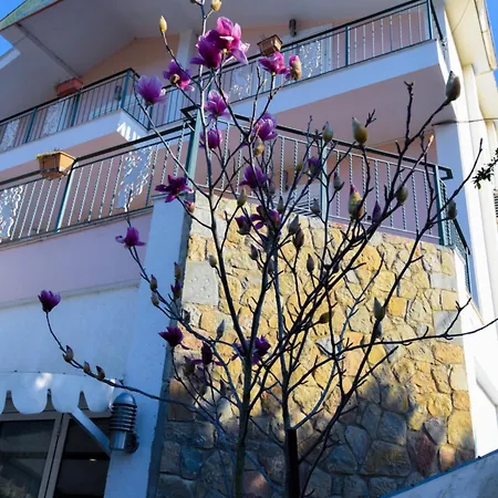 Restorant Halal Il Tramonto. 4* Vorë