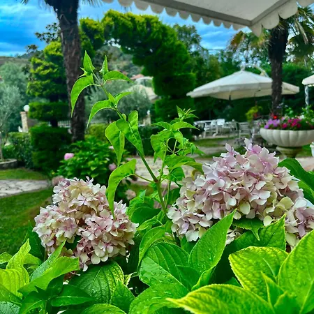 Restorant Halal Il Tramonto. Hotel