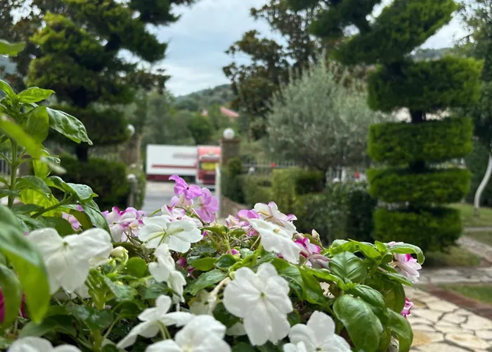 Restorant Halal Il Tramonto. Vorë